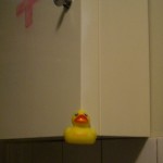 duck2